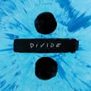 SUPERMARKET FLOWERS