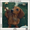 Learn How To Watch