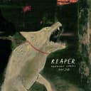 Reaper